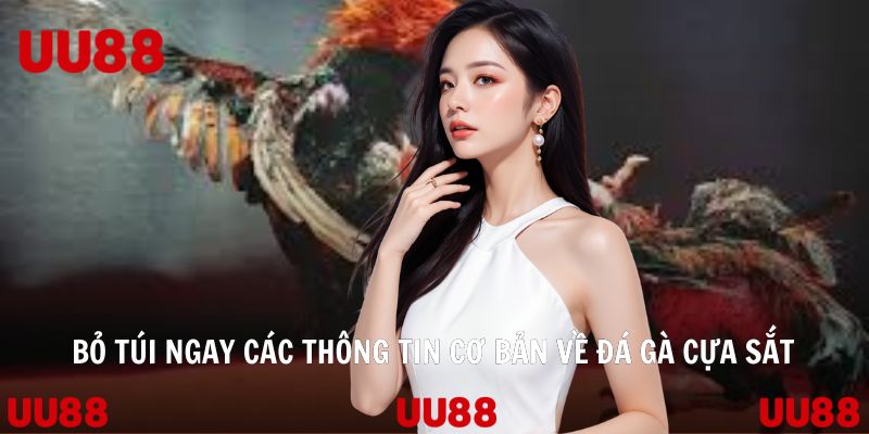 Bỏ túi ngay các thông tin cơ bản về đá gà cựa sắt